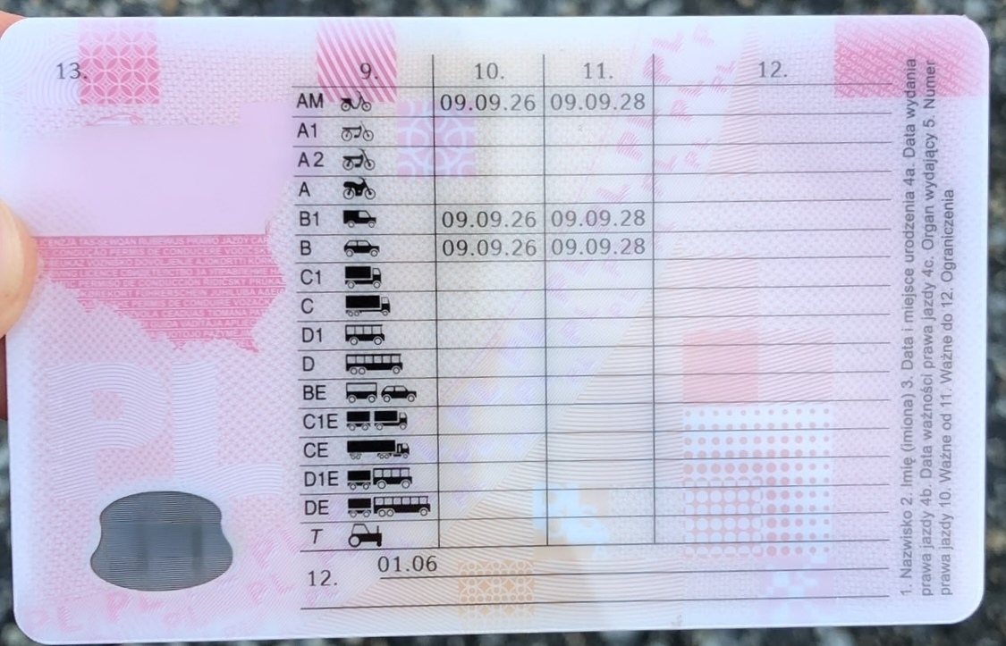Tył polskiego prawa jazdy z kategoriami AM, B1 i B oraz datami ważności